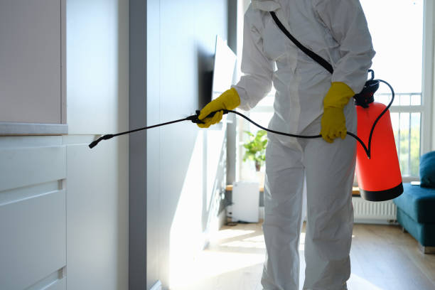 Best Mold Remediation for Healthcare Facilities  in Burnet, TX